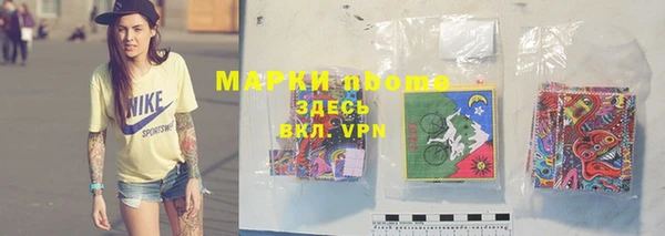 PSILOCYBIN Инта