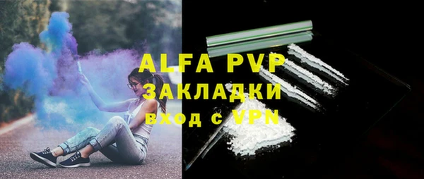 PSILOCYBIN Инта