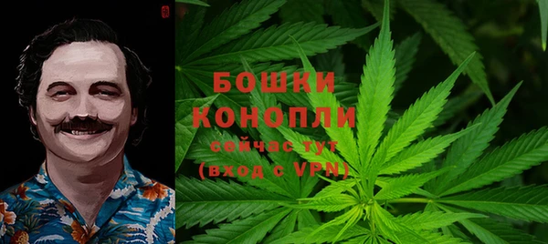 PSILOCYBIN Инта