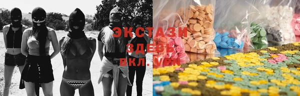 PSILOCYBIN Инта